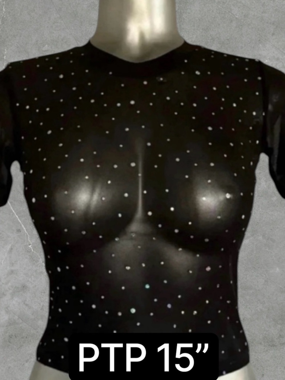 2 for $30 🆕French Twist Shimmering Mesh T-Shirt
